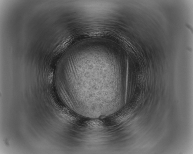 X0000096640652200802191221