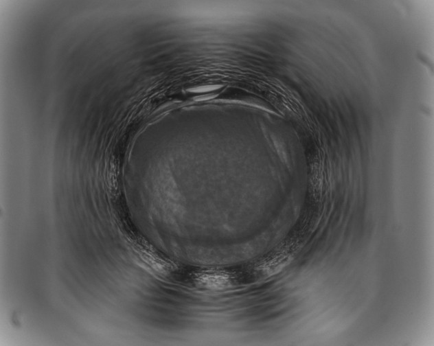 X0000096640653200802191221