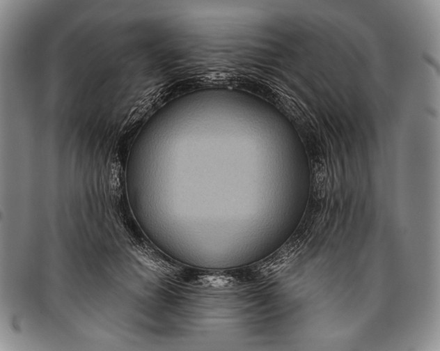 X0000096640654200802191221