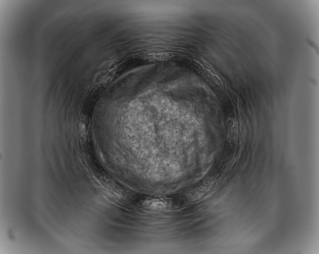 X0000096640655200802191221