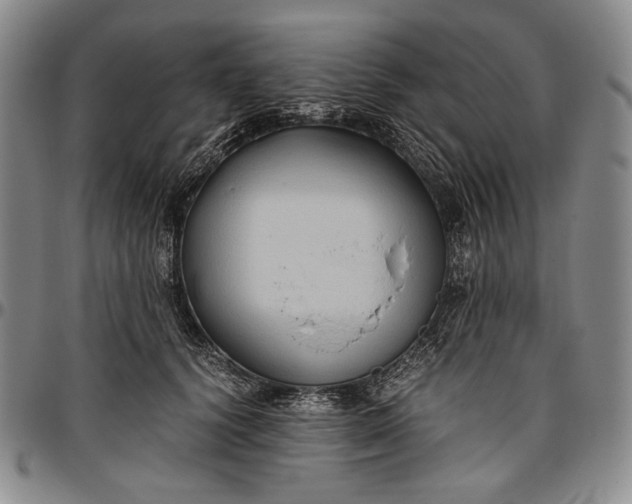 X0000096640656200802191221