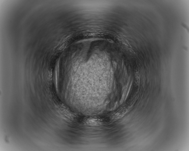 X0000096640657200802191221