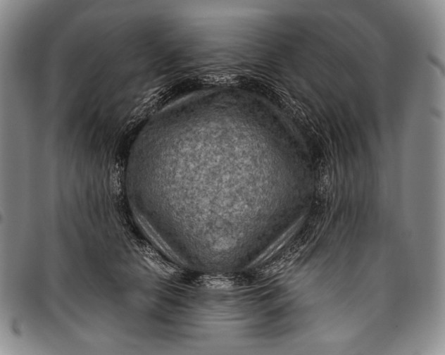 X0000096640658200802191221