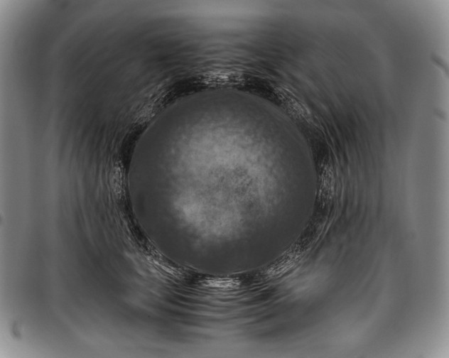 X0000096640659200802191221