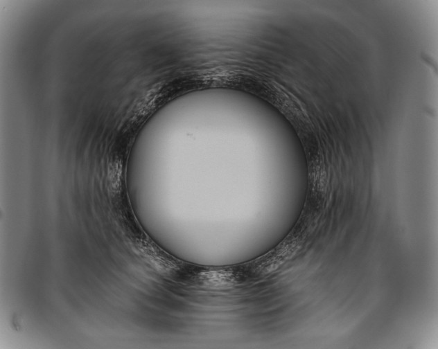 X0000096640660200802191221