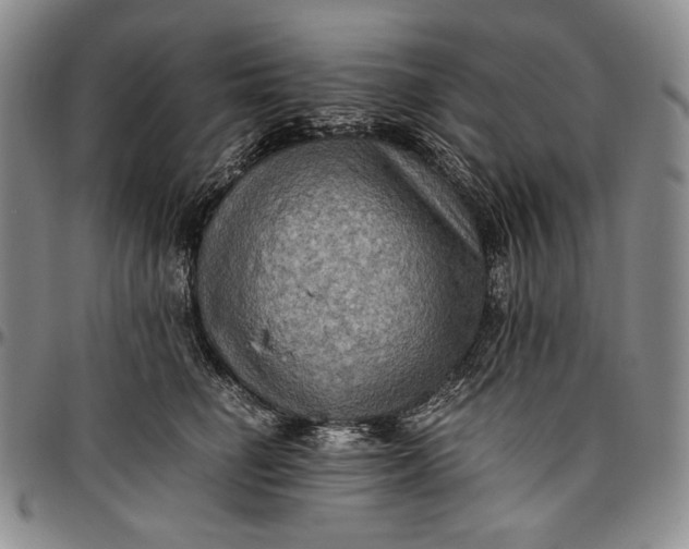 X0000096640662200802191221