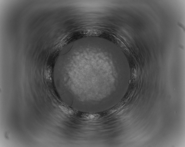 X0000096640663200802191221