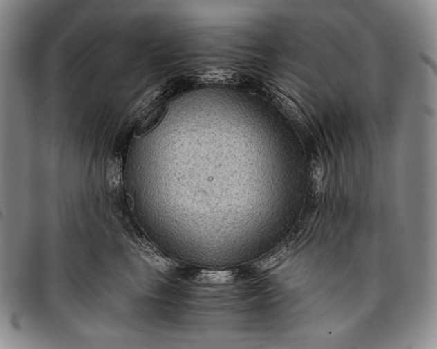 X0000096640665200802191221