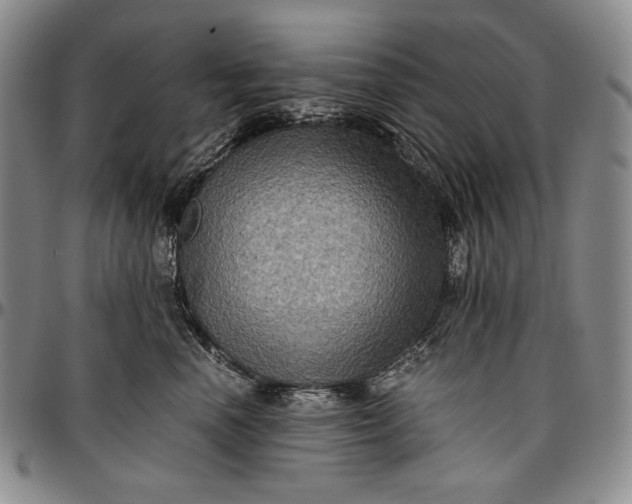 X0000096640666200802191221