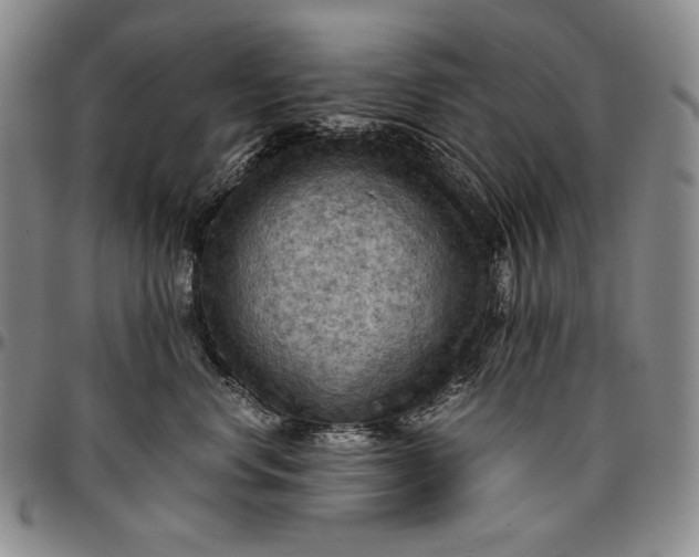 X0000096640668200802191221