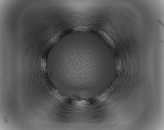 X0000096640669200802191221