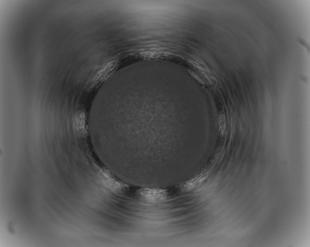 X0000096640670200802191221