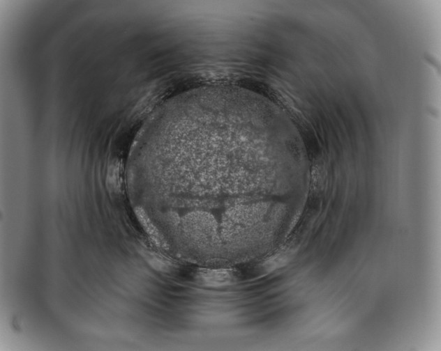 X0000096640671200802191221