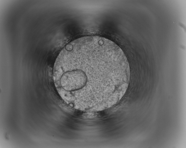 X0000096640672200802191221