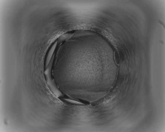 X0000096640673200802191220