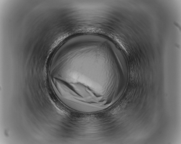 X0000096640674200802191220