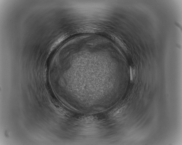 X0000096640675200802191220