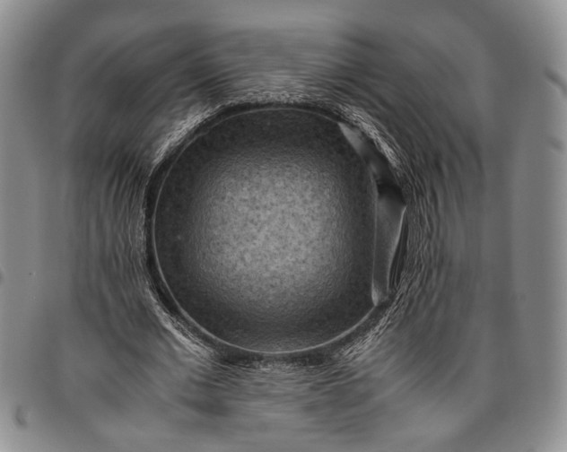 X0000096640677200802191220