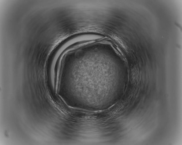 X0000096640680200802191220