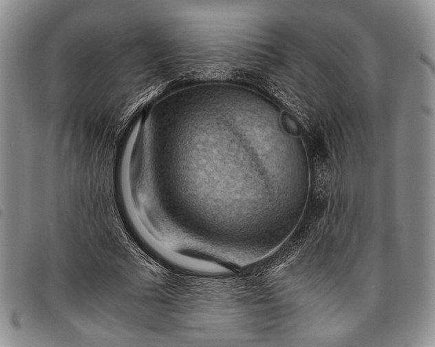 X0000096640681200802191220