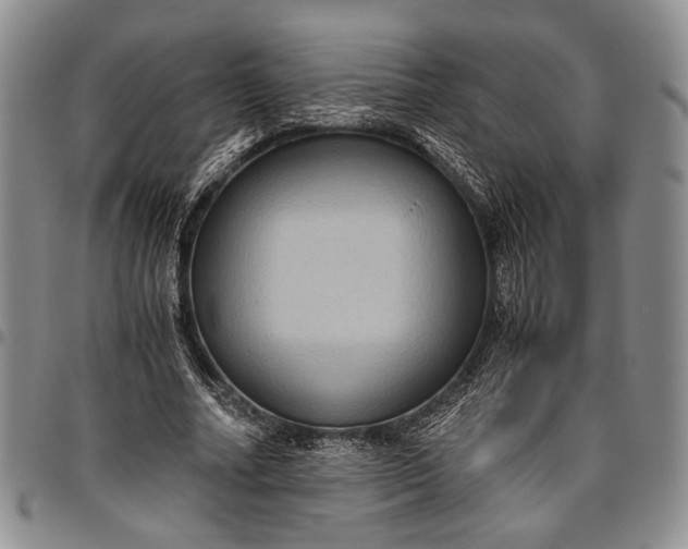 X0000096640682200802191220