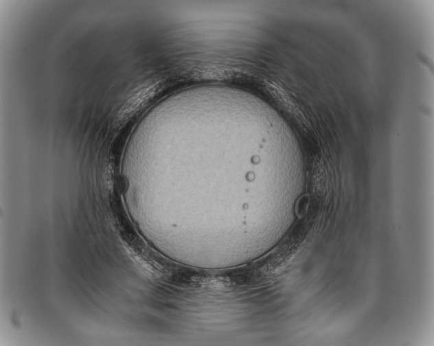 X0000096640683200802191220