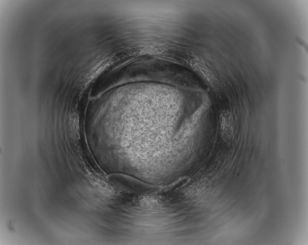 X0000096640684200802191220