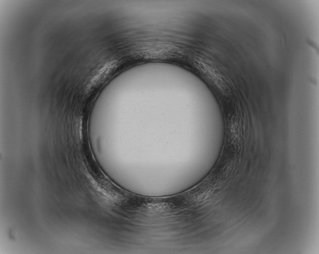 X0000096640686200802191220