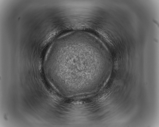 X0000096640687200802191220