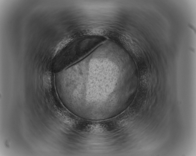 X0000096640688200802191220