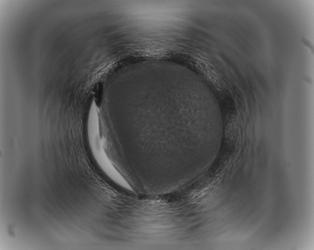 X0000096640689200802191220