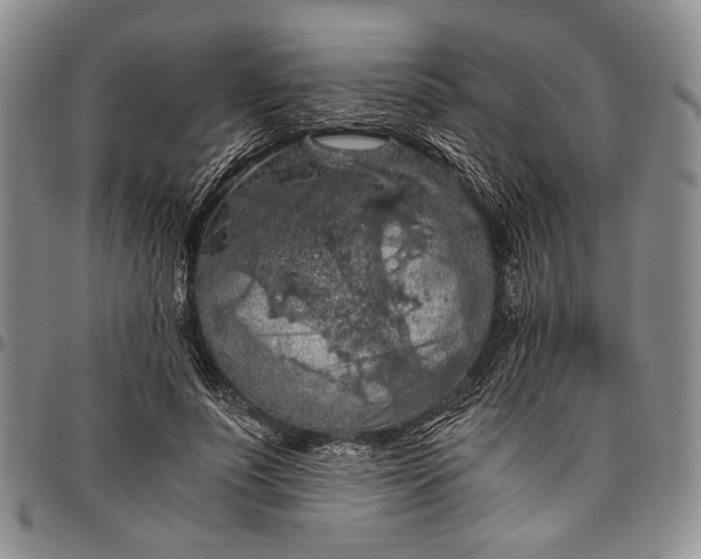 X0000096640691200802191220