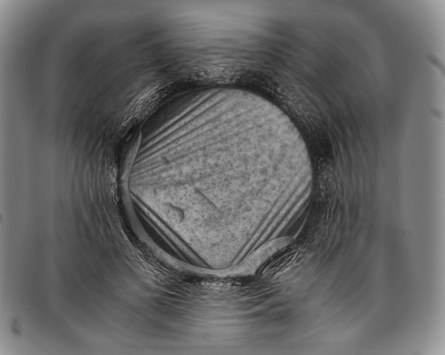 X0000096640693200802191220