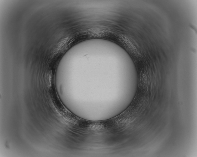 X0000096640694200802191220