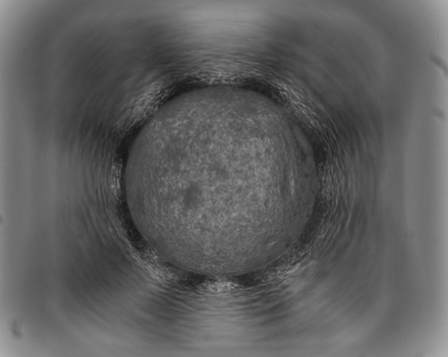 X0000096640695200802191220