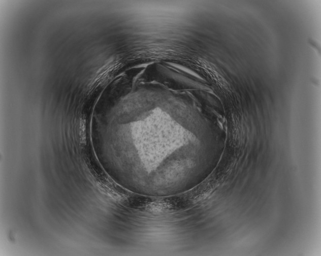 X0000096640696200802191220