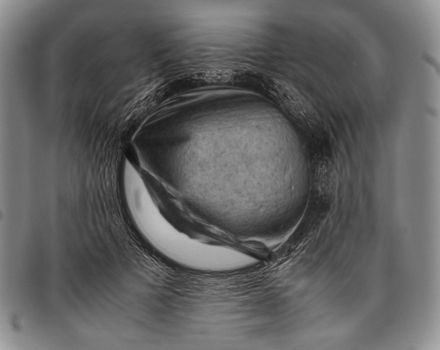 X0000096640697200802191220