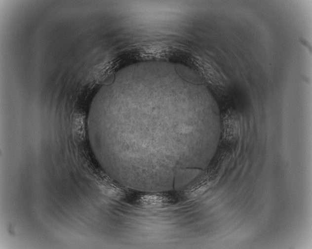 X0000096640699200802191220