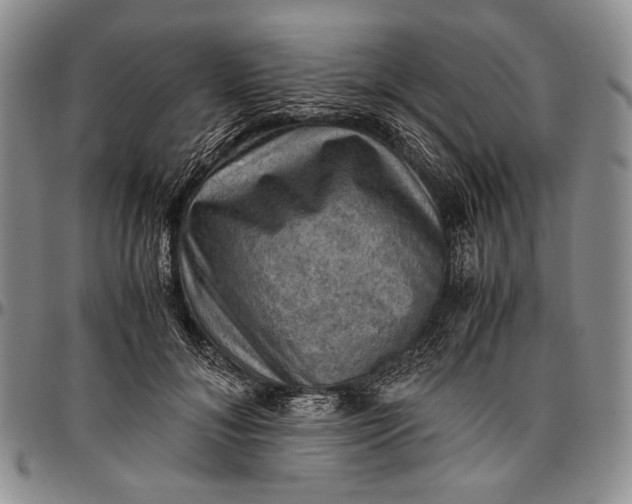 X0000096640700200802191220