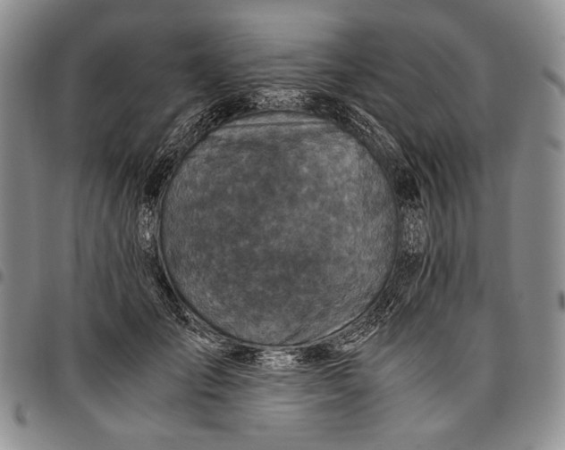 X0000096640701200802191220