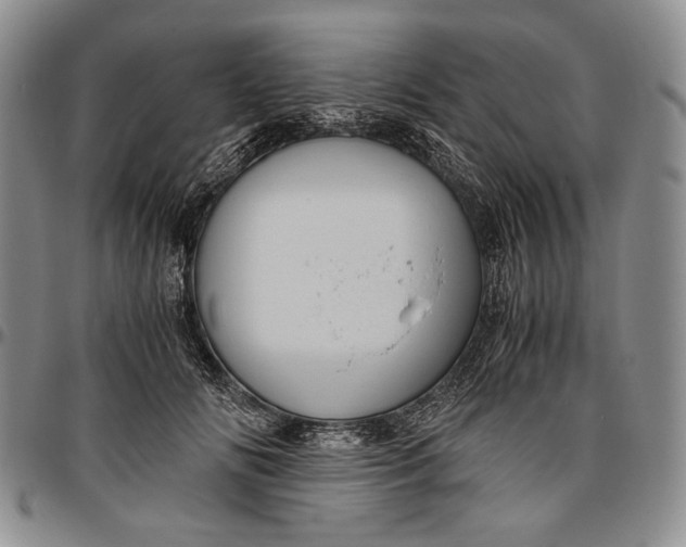 X0000096640702200802191220