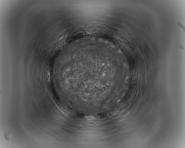 X0000096640703200802191220