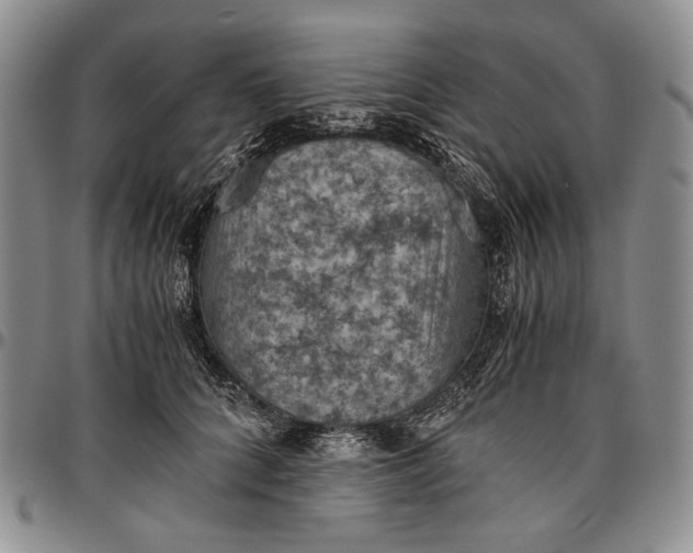 X0000096640704200802191220