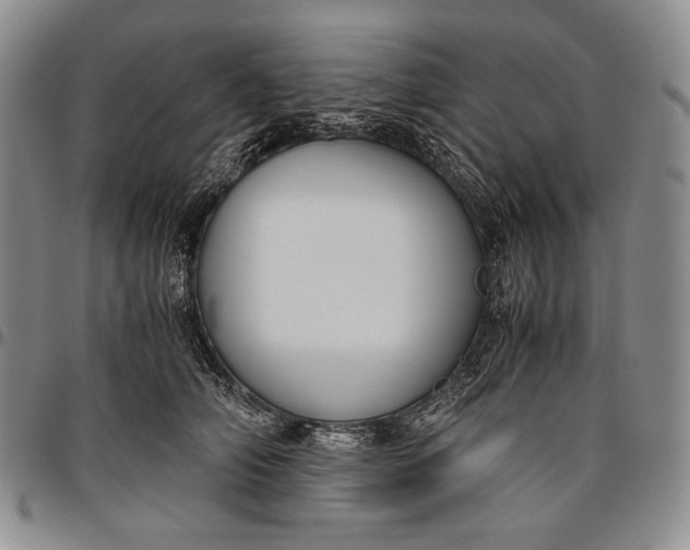 X0000096640706200802191220