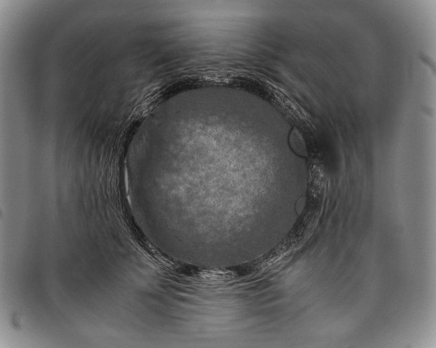 X0000096640707200802191220