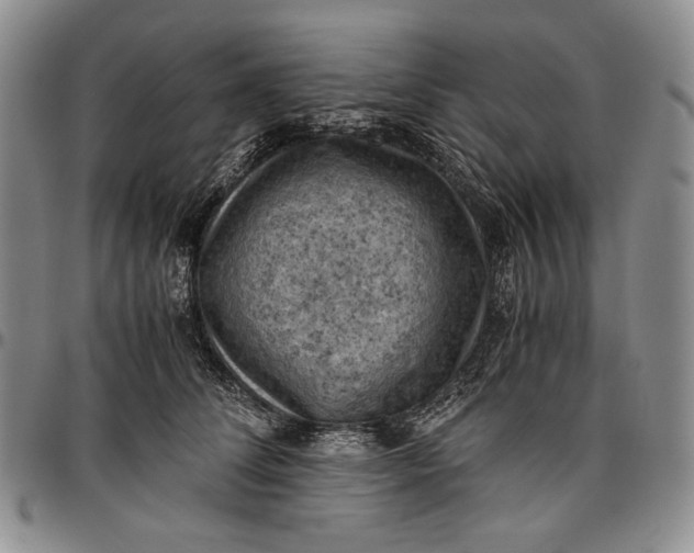 X0000096640708200802191220