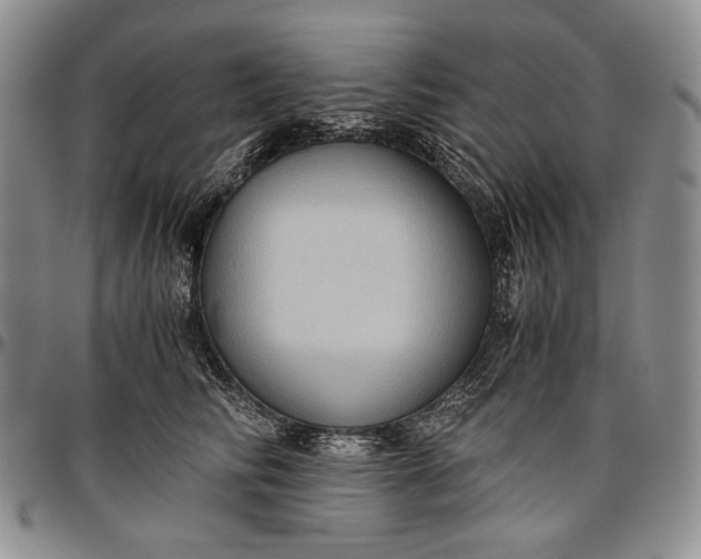 X0000096640710200802191220