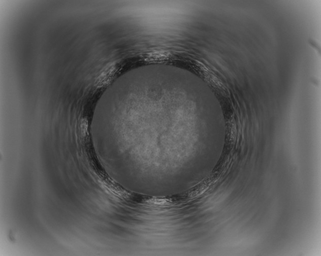 X0000096640711200802191219