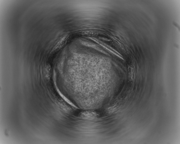 X0000096640712200802191219