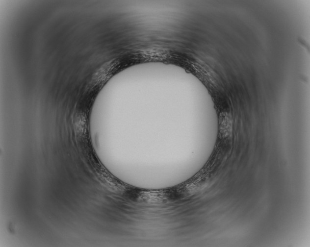 X0000096640713200802191219